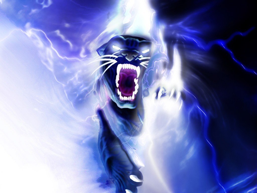 תמונה - 0 (27).jpg